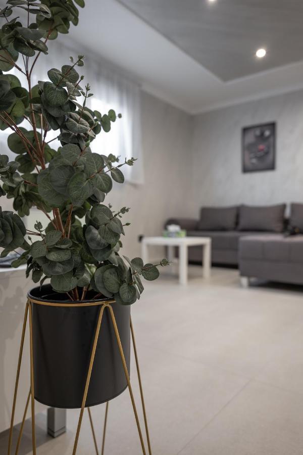 Joy Apartments Zemun,Beograd Esterno foto
